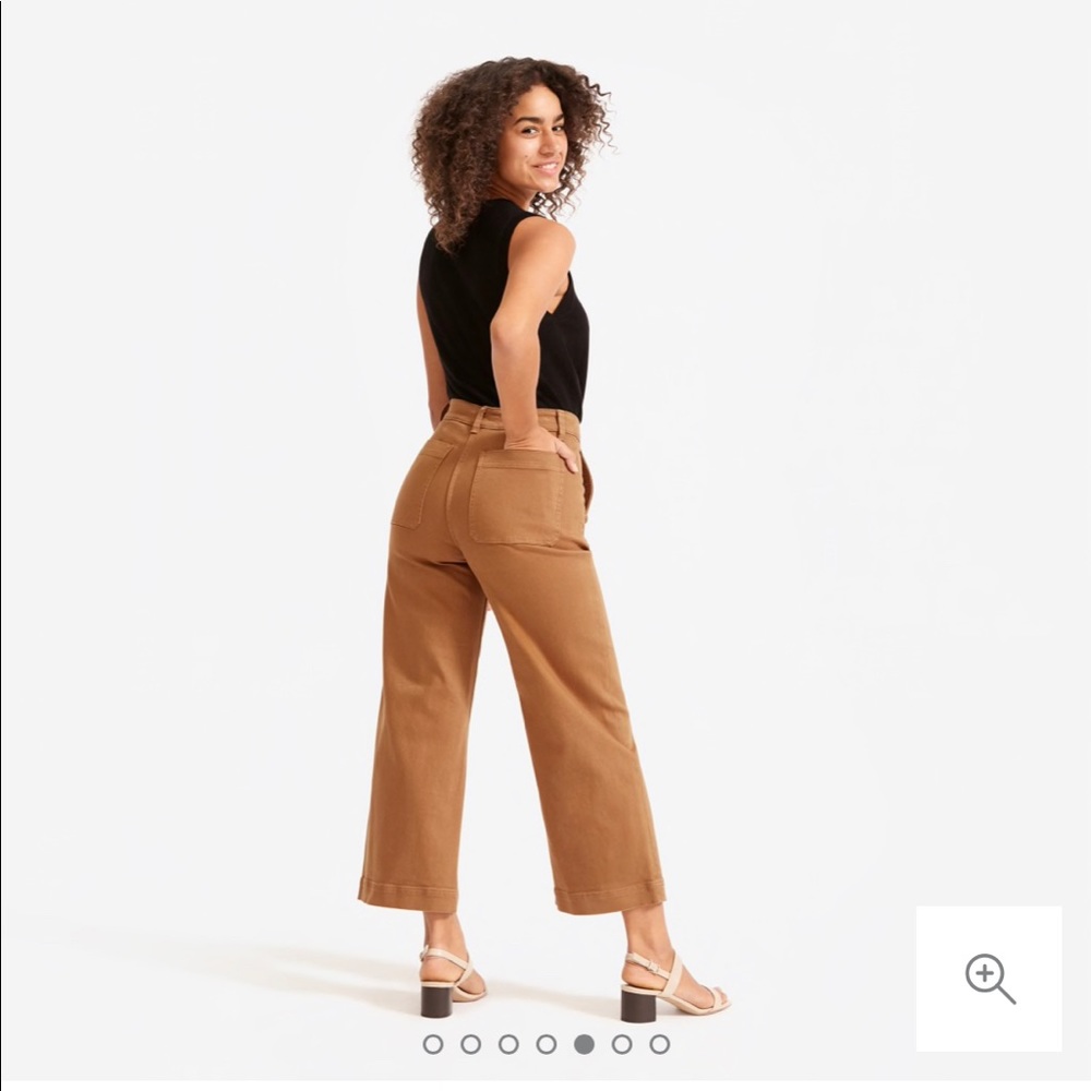 Everlane wild leg crop pants
